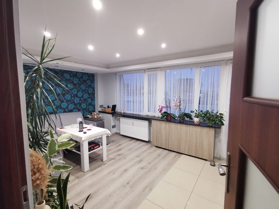 Mieszkanie na sprzedaż Głuchołazy