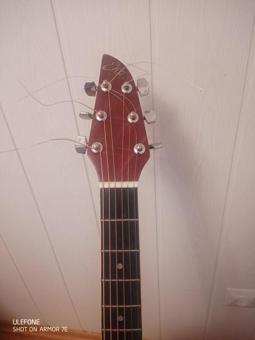 Gitara akustyczna EKO