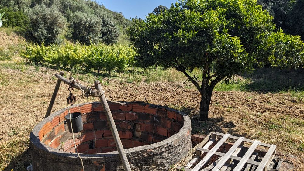 Terreno agrícola em Romeira, Santarém – 2,1 hectares