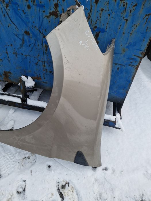 Renault Clio III błotniki