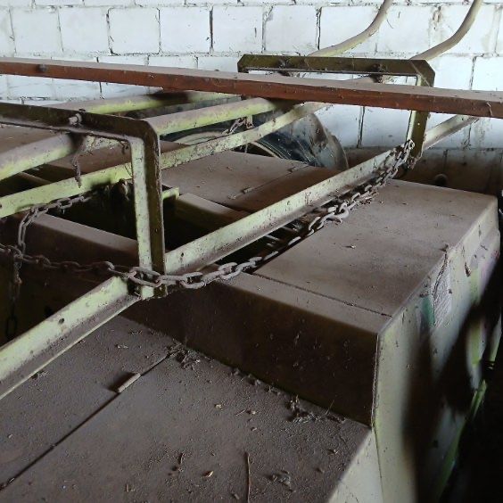 Prassa kostkujaca Class