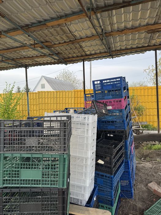 Ящики пластмасовые