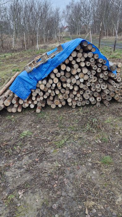 Stemple budowlane 2.9m