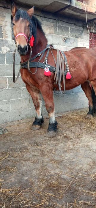 Dla kazdego cos dobrego