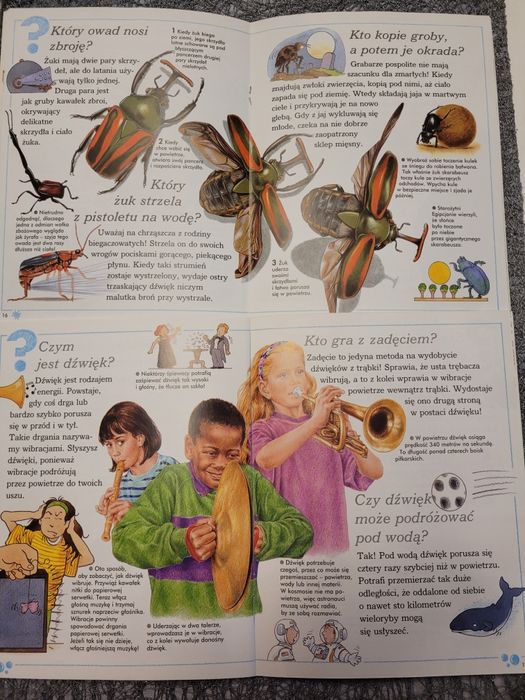 Ciekawe dlaczego mydło się pieni, pająki tkają sieci