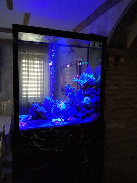 Акваріуми та водоспади під замовлення