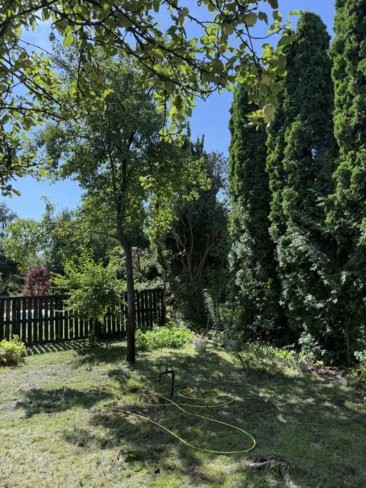 Dzialka Rod Gdansk - Widok 4