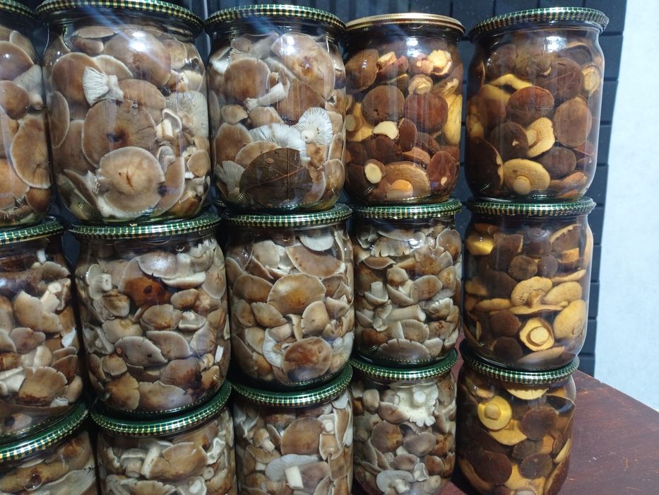 Мариновані опеньки