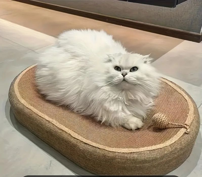 Продам дряпку  ліжанку для котів