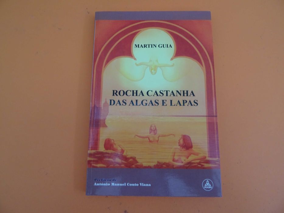 Rocha castanha das algas e lapas -  Martin Guia