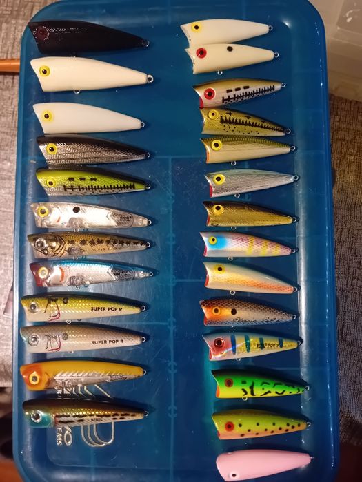 Amostras pesca de achigã