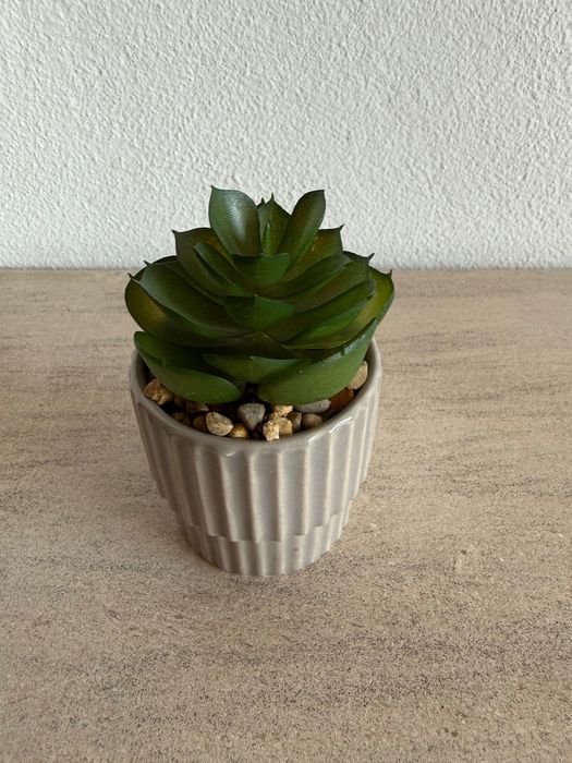 Suculenta artificial em vaso