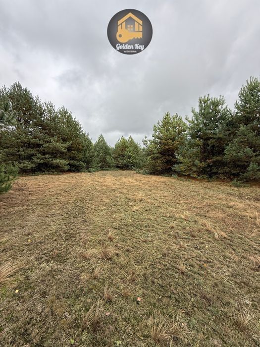 Продам Земельну Ділянку 20 соток, Серед Сосен,с.Абрамівка, Київ