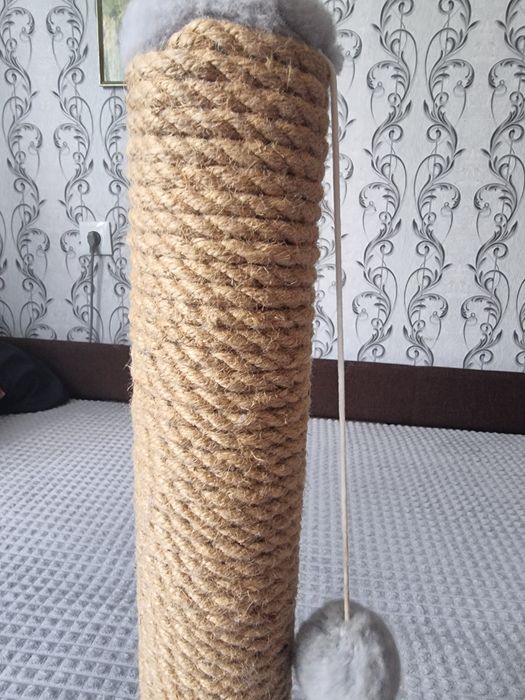 Когтеточка для котят