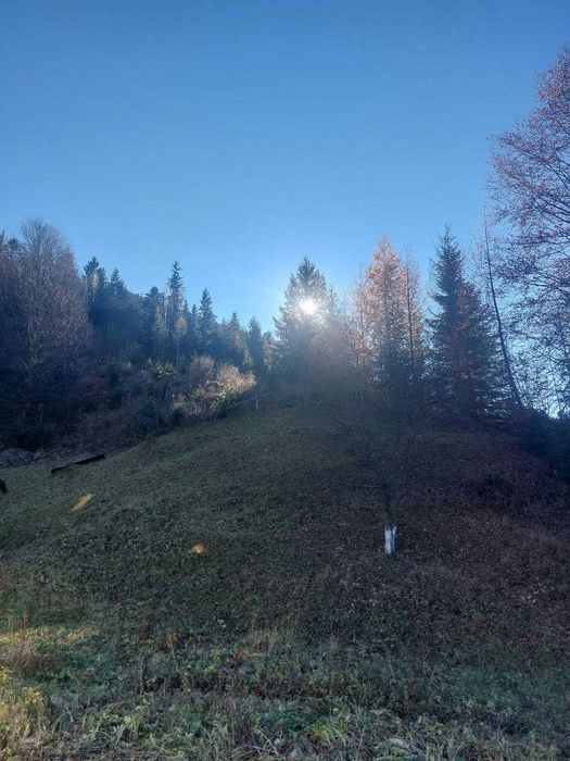Відпочинок у Татарові, Біля Потічка '