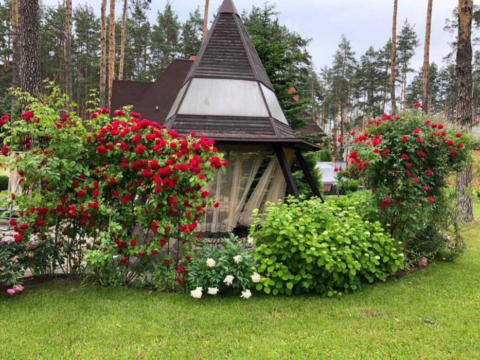 Будинок Буча І Лісова Буча І 156 м² І ділянка 32 сотки І басейн І баня І сосни
