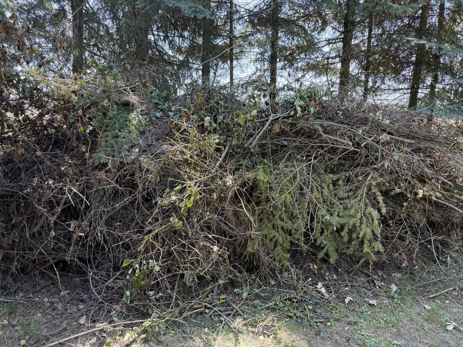 Gałęzie / chrust / zrębki / biomasa / opał