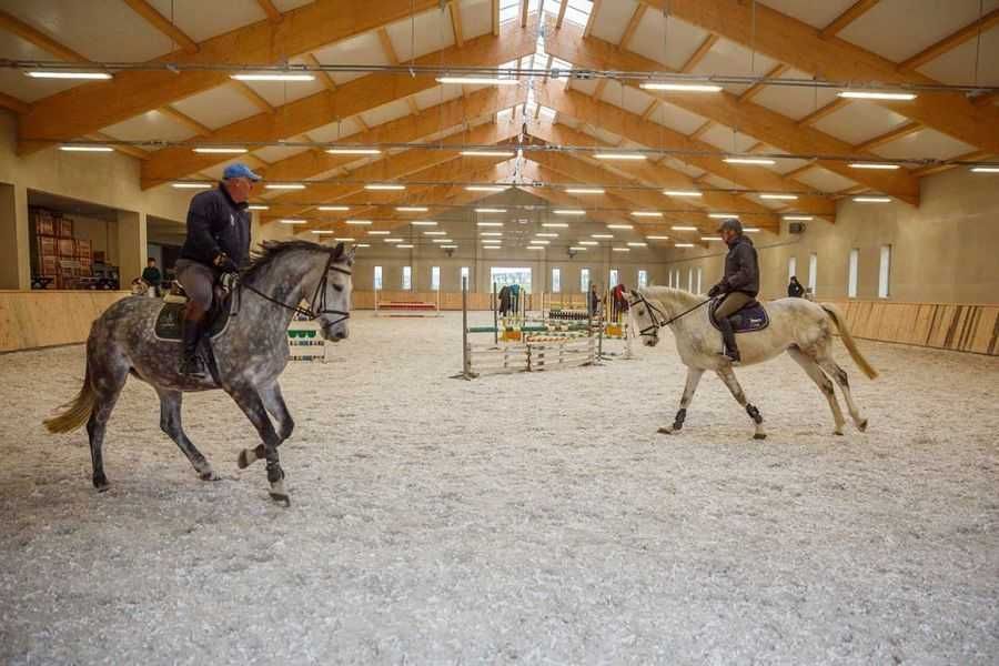 Geowłóknina na padok lonżownik dla koni ogrodowa pod kostkę