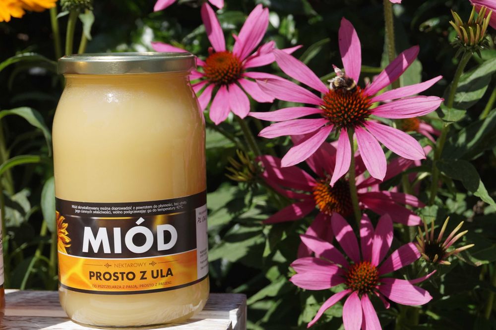 MIÓD miód z Roztocza