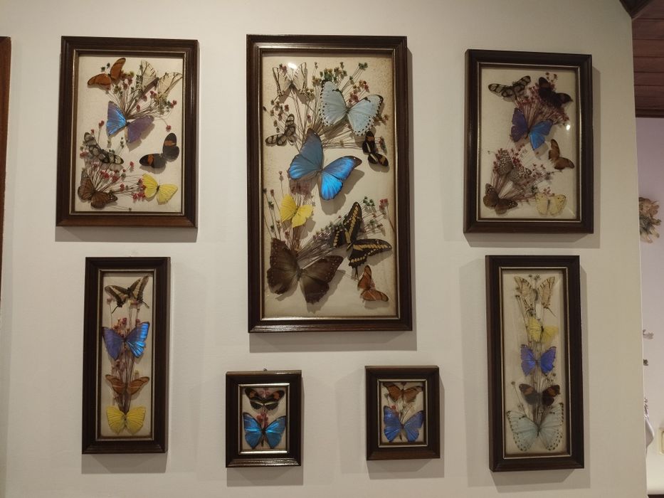 Paintings in excellent condition64550923734402122