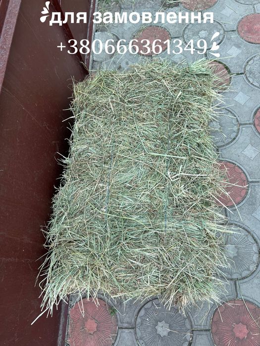 Сіно, сено, сено для  животных(кроликов, коров, коз, грызунов) от 1 тюка