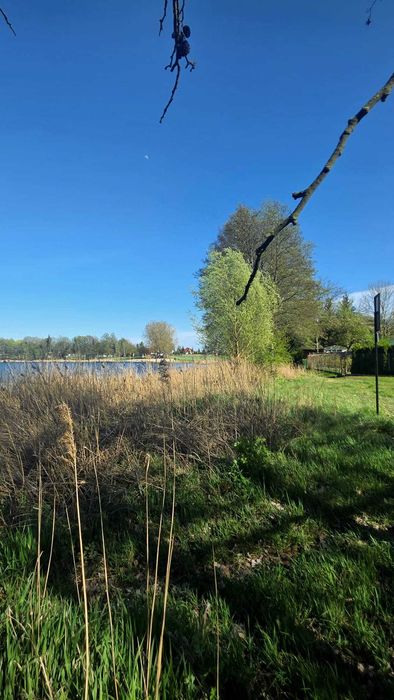 UNIKAT:  Działka nad jeziorem z bezposrednią linią brzegową  - wydana decyzja WZ _ Obra Wolsztyn - Widok 4