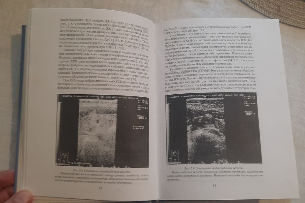 Книга Клиническая Панкреатология - Н.Б. Губергриц, Т. Н. Христич