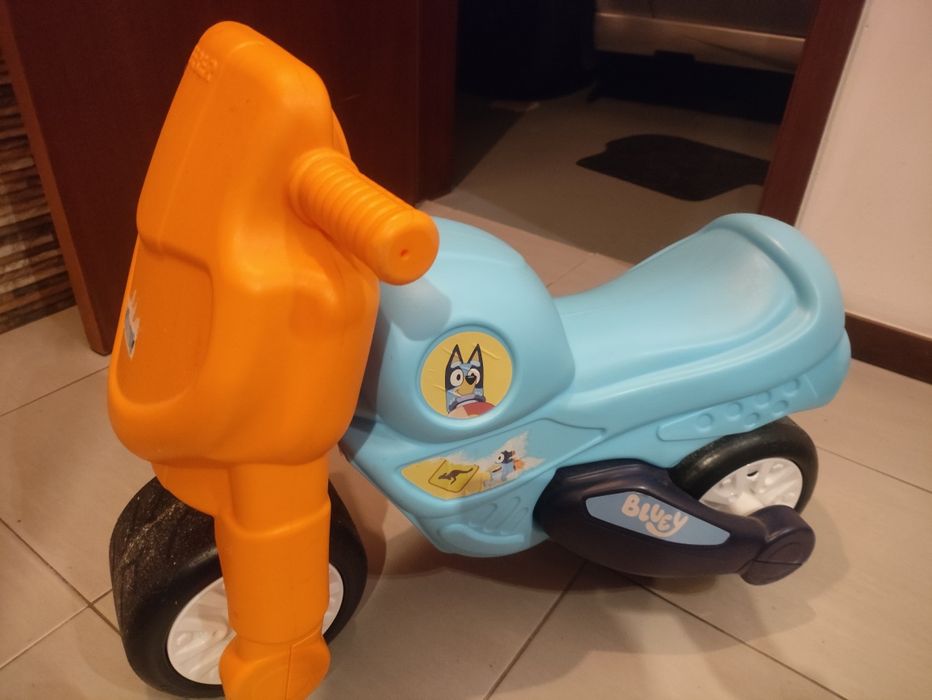 Mota Bluey 1-3 anos