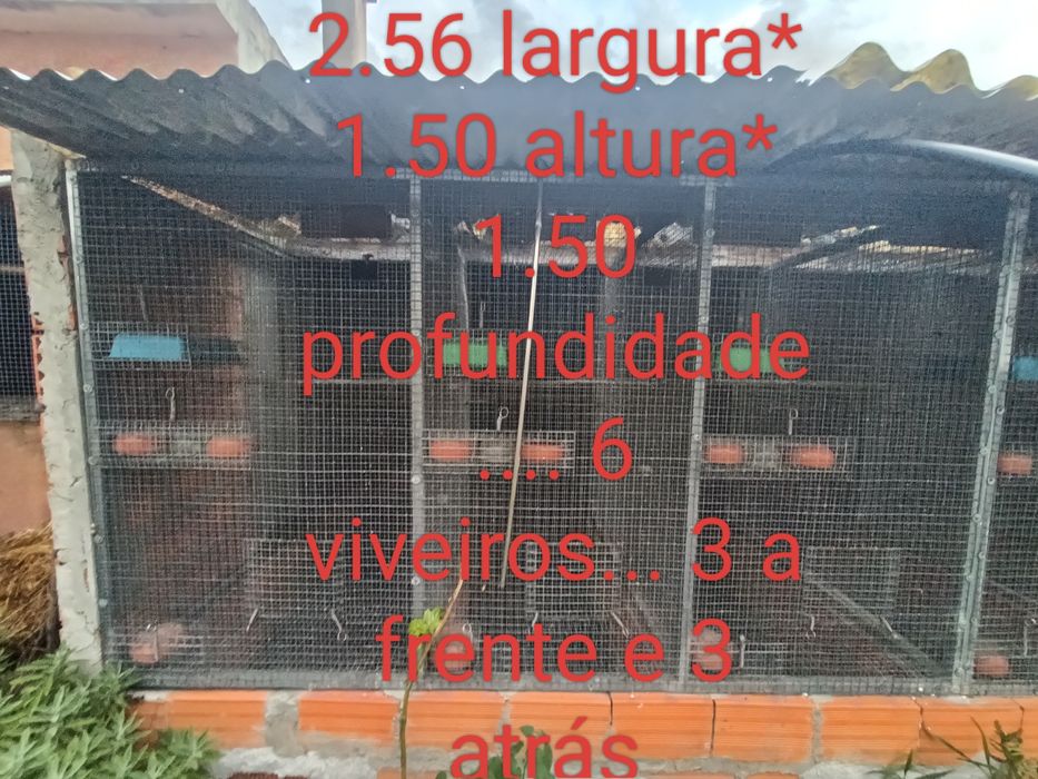 Viveiros Grandes em Tubo Galvanizado com Rede Dupla (6 e 8 Divisões)