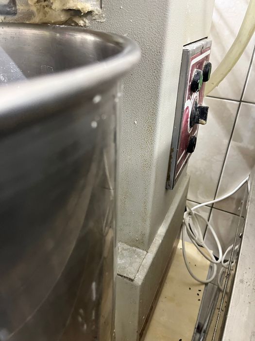 Тістоміс промисловий