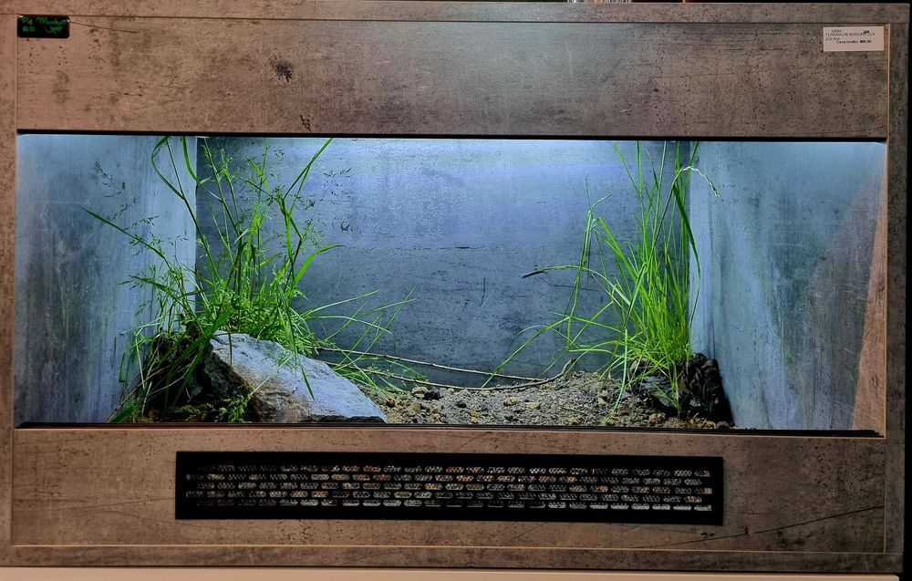 Terrarium 80x50x50 dla żółwia lądowego