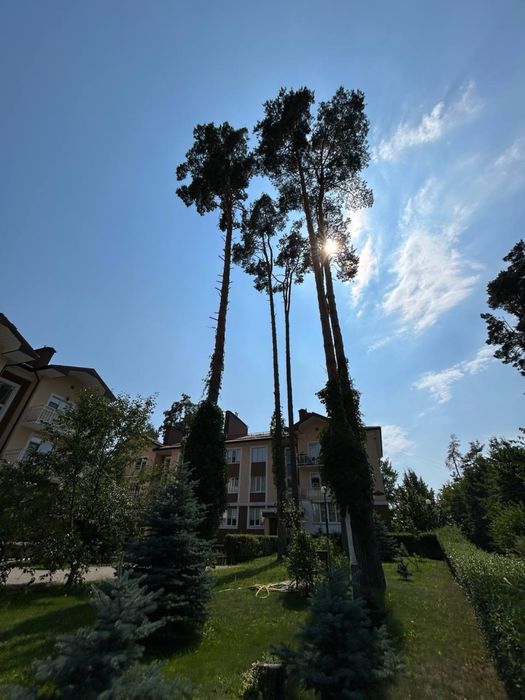 Продам 2 кімнатну квартиру в Лісовій Бучі