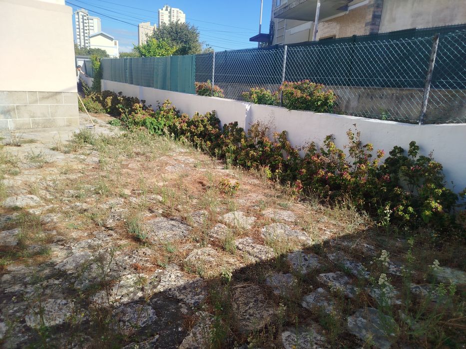 Limpieza de jardines