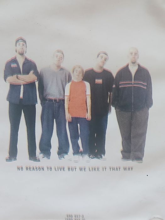 Płyta CD the Blood houndgang hooray 1999rok