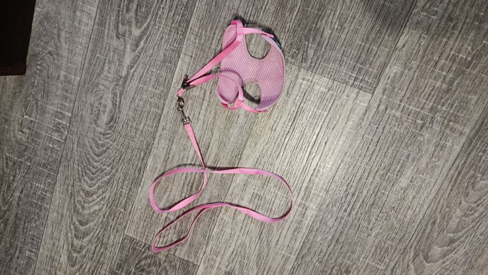 Ошейник с поводком для маленькой собачки