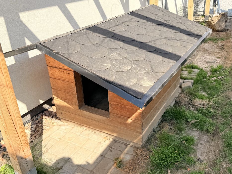 Buda dla duzego owczarek niemiecki