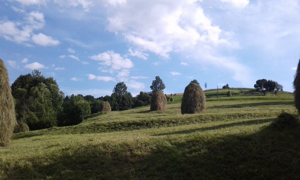 Продам будинок в Міжгірському районі