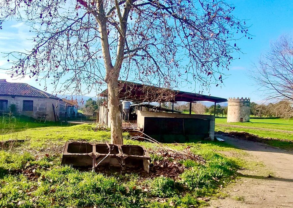 Quinta de 60 ha – Um refúgio natural com potencial ilimitado