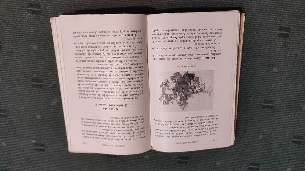 Culturas Horticolas - Alberto Gardé e Nydia Gardé
