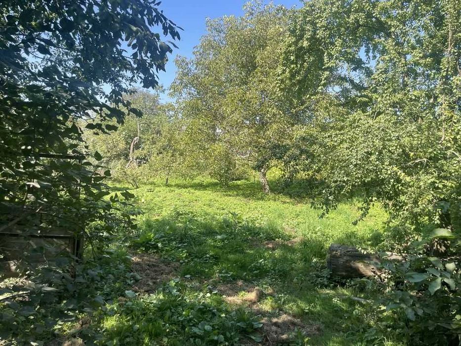 Продаж 4к будинку | с. Лісові Гринівці | 30 соток землі 42451