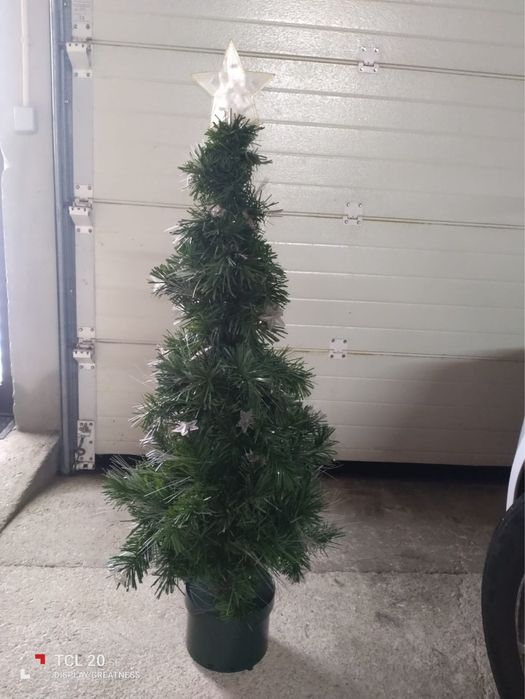 Pinheiro de Natal