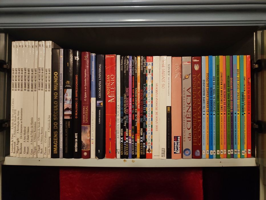 Vários livros diversificados