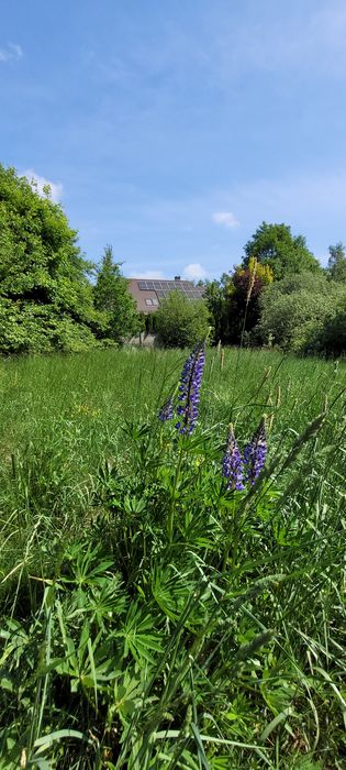 Gdańsk Barniewice, Działka Mieszkaniowo-Usługowa 811 m², Media, PKM, 0% Prowizji - Widok 5