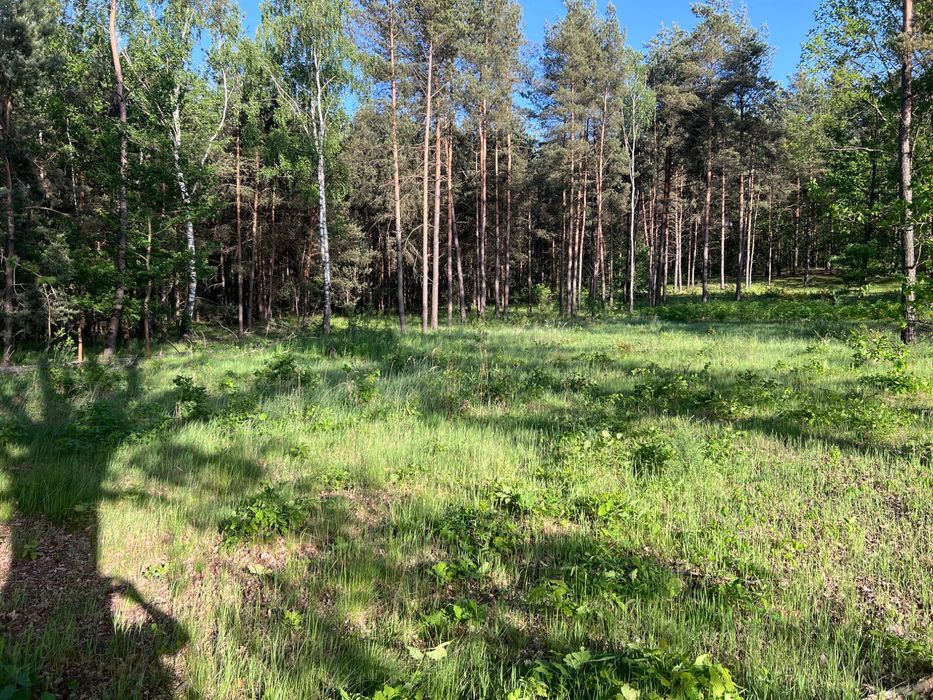 Działka 850 m² warunki zabudowy - Widok 4