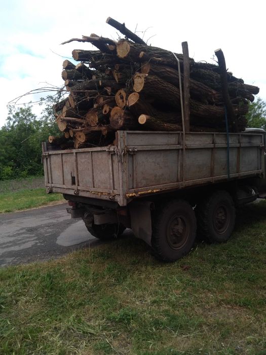 Продам дрова дуб,акація,сосна