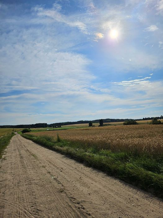 Działki budowlane w pięknej, zielonej scenerii...