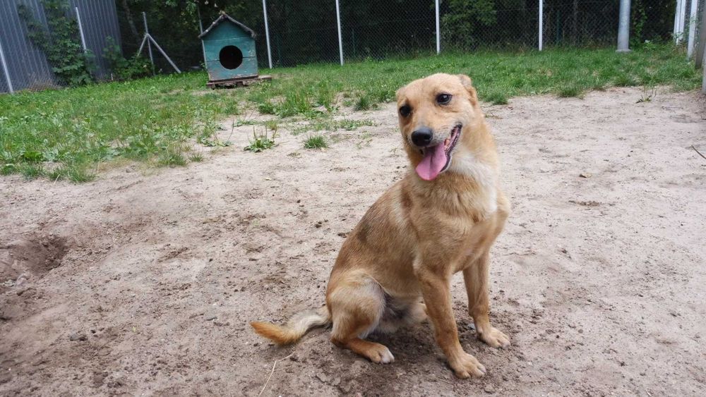 Biedny i zagubiony Etyl szuka stabilnego domu