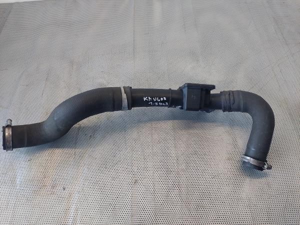 Tubo do intercooler RENAULT Kangoo (KC0/1_)