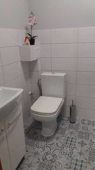 mieszkanie do wynajęcia