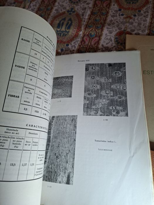 Três livros sobre florestas e madeiras em Timor